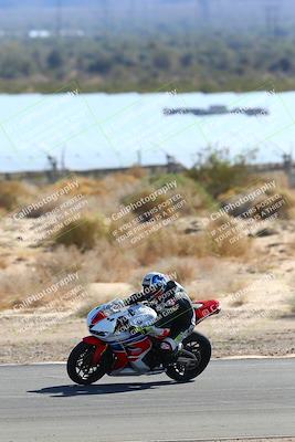media/Jan-13-2024-SoCal Trackdays (Sat) [[9c032fe5aa]]/Turn 9 Backside (110pm)/